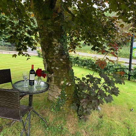 Clones 'Greenjoy - B&B Corconnelly Eksteriør bilde